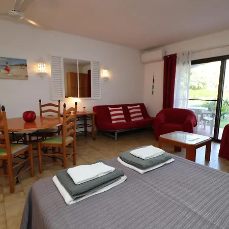 Camelia 68 At Sao Rafael -