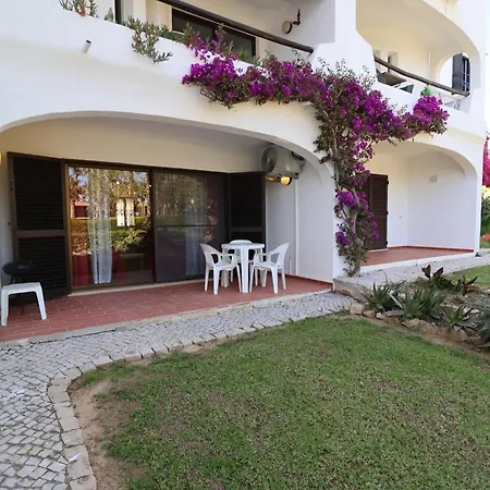 Camelia 68 At Sao Rafael - *