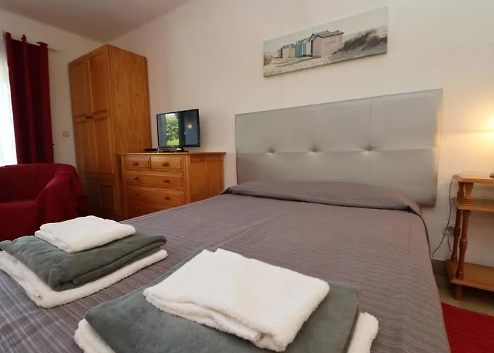 Camelia 68 At Sao Rafael - *