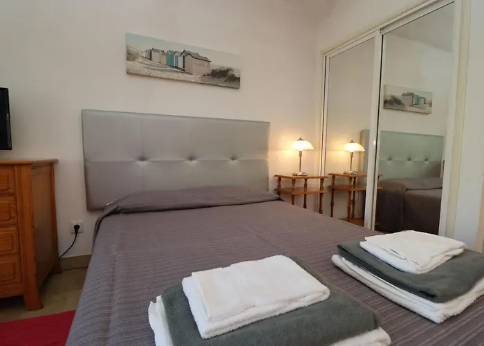 Camelia 68 At Sao Rafael -