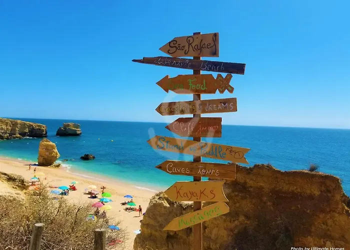 Camelia 68 At Sao Rafael - アパート *