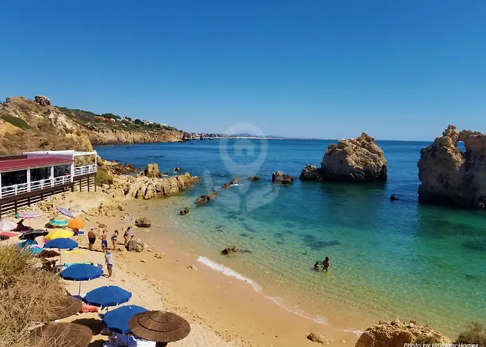 Camelia 68 At Sao Rafael - * アルブフェイラ