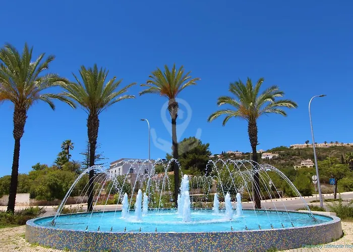 Camelia 68 At Sao Rafael - * アルブフェイラ