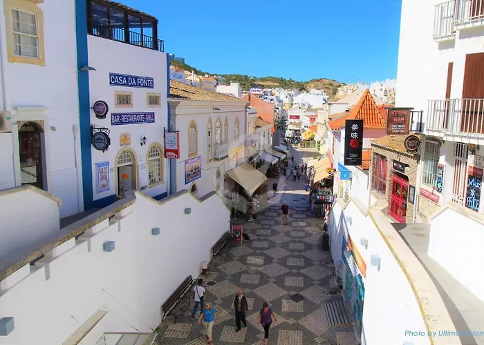 Camelia 68 At Sao Rafael - アパート