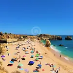 Camélia 68 At São Rafael -