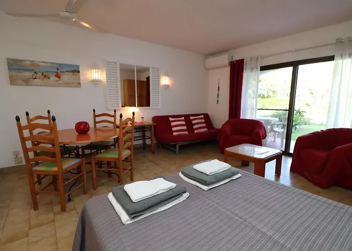 Camelia 68 At Sao Rafael -